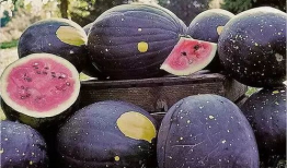 吃瓜爆料黑反差曹县,揭秘曹县背后的惊人反差